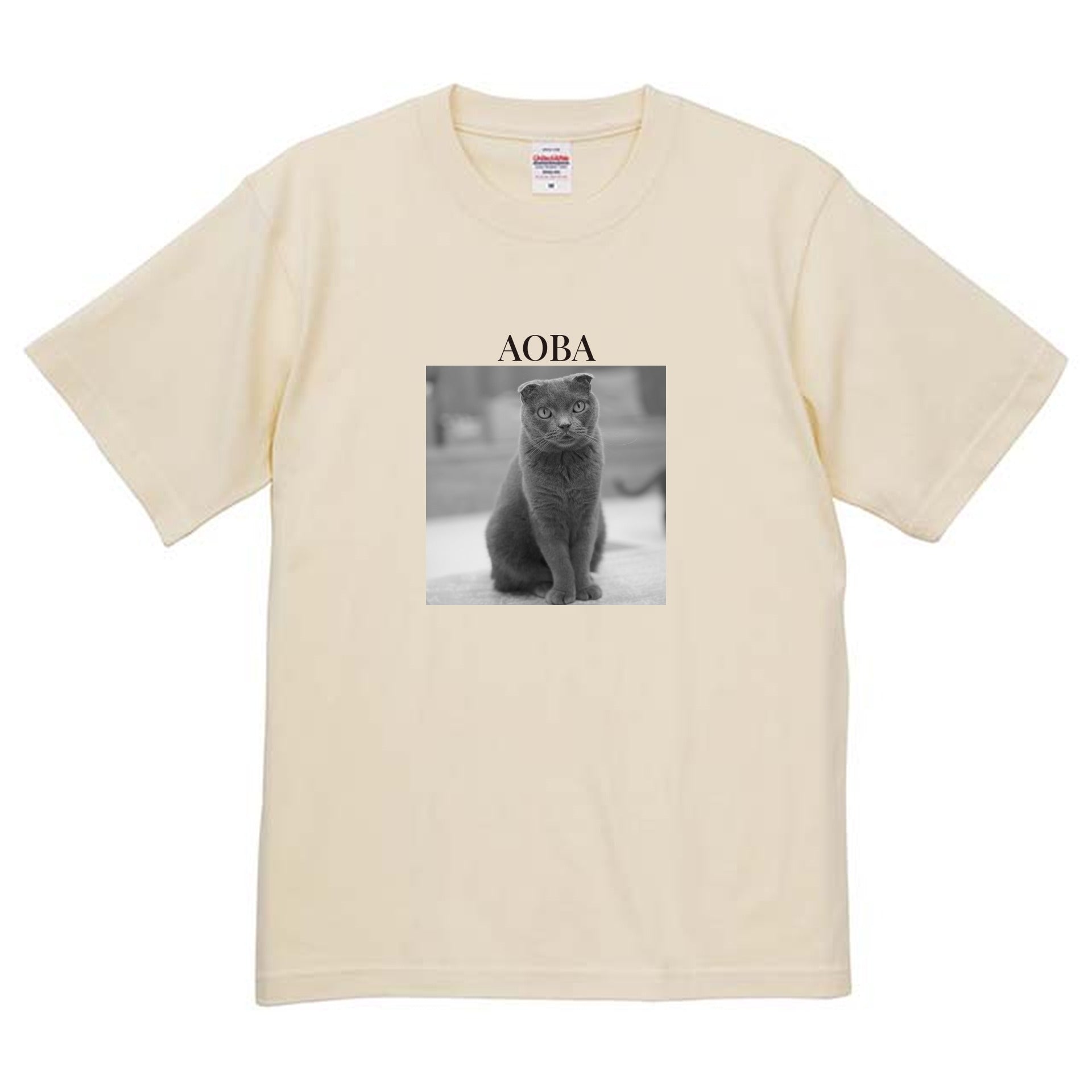 019