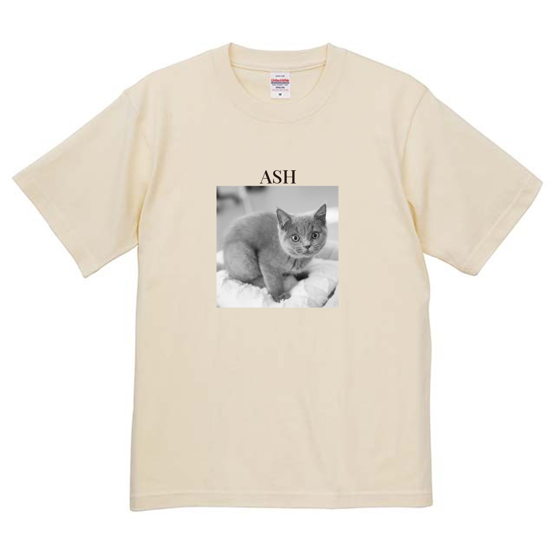 019