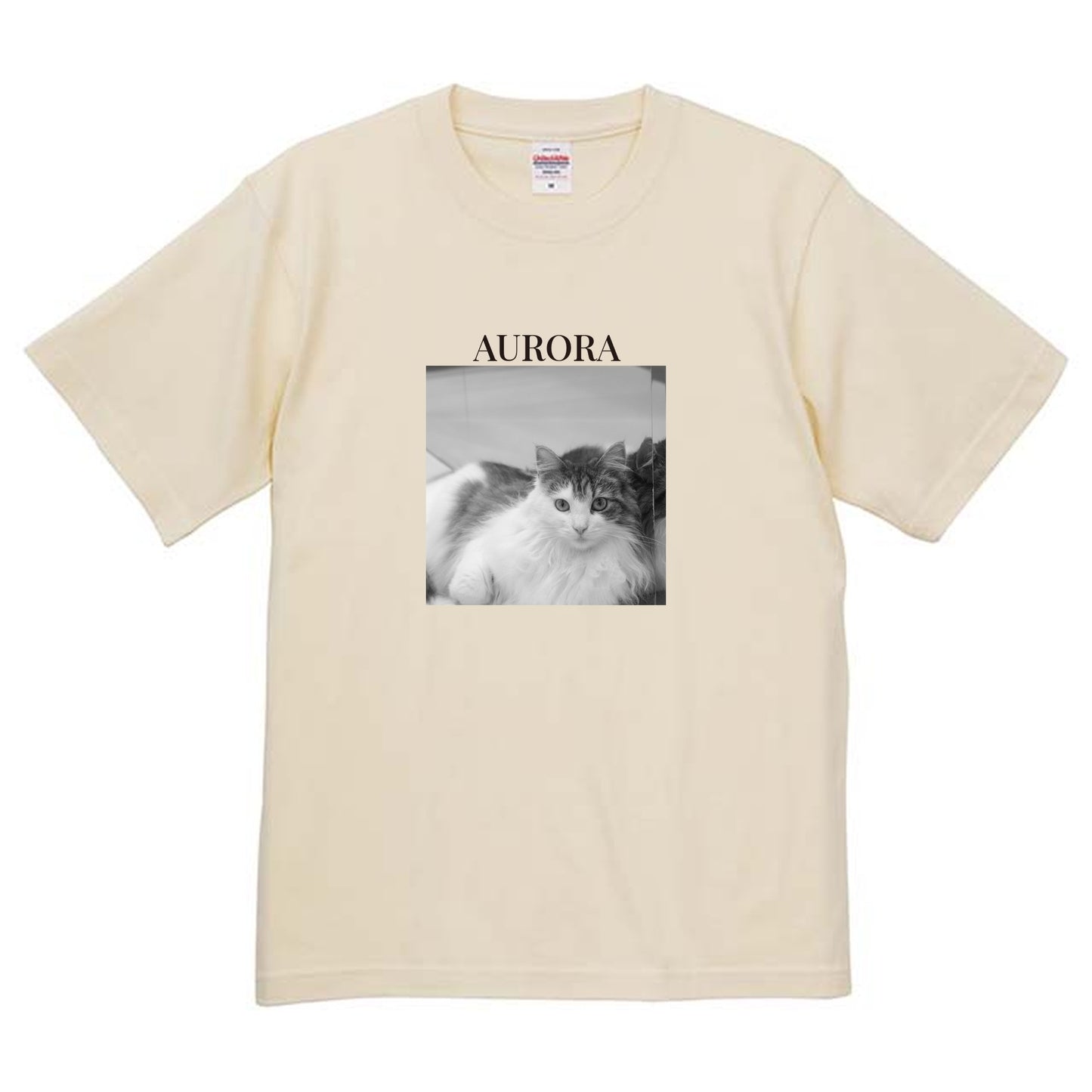 019
