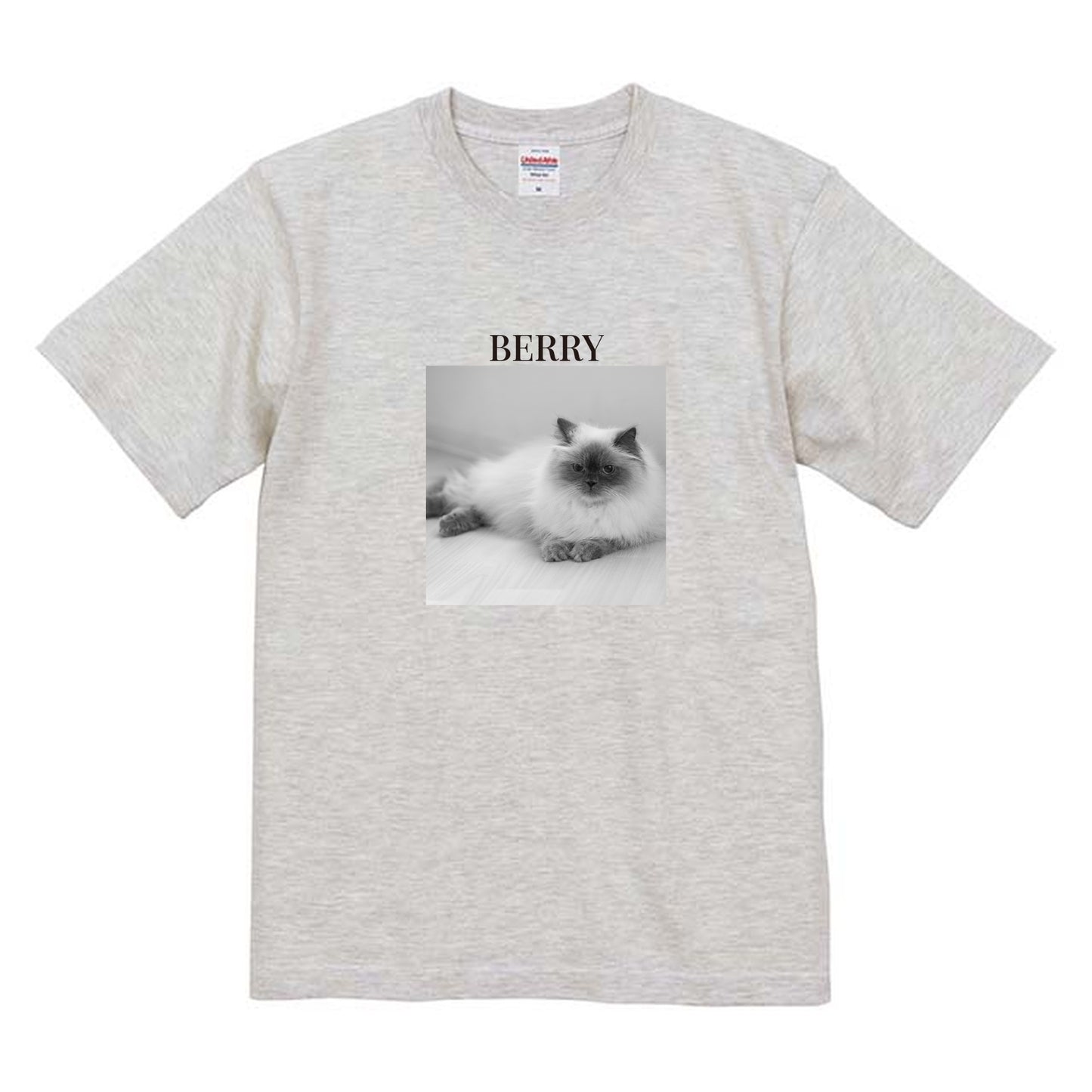 009
