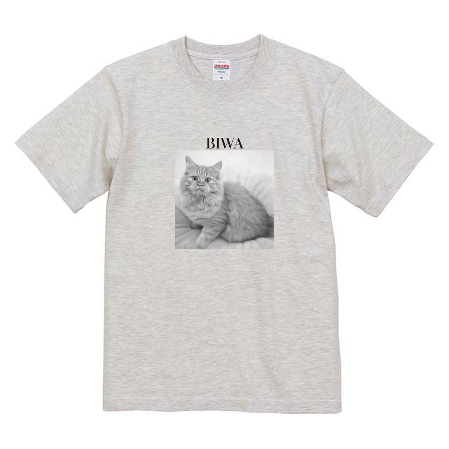 009