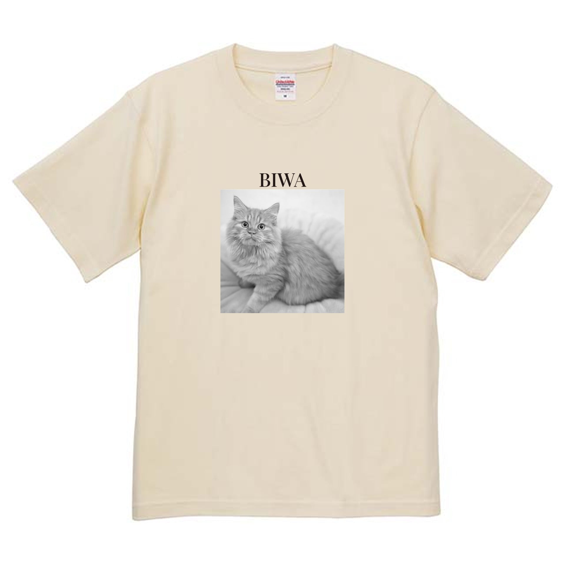 019