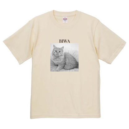 019