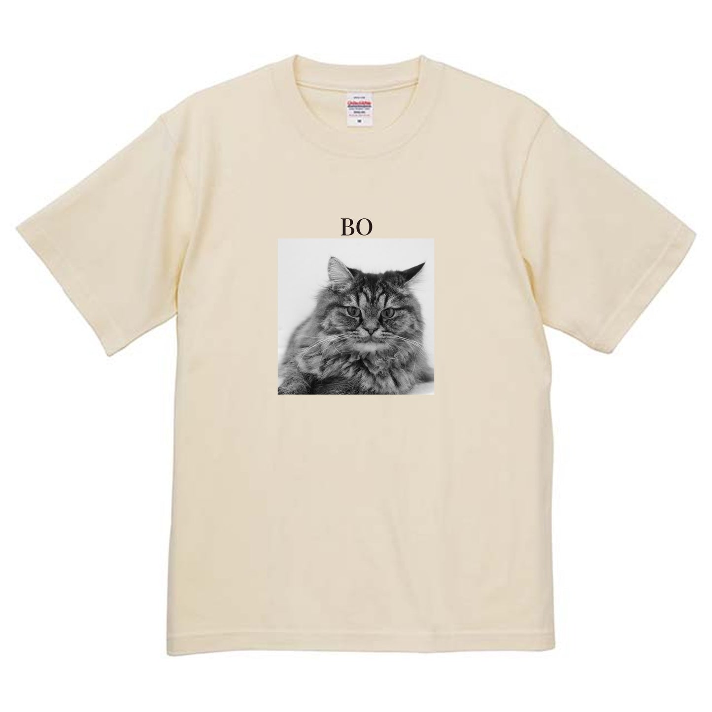 019