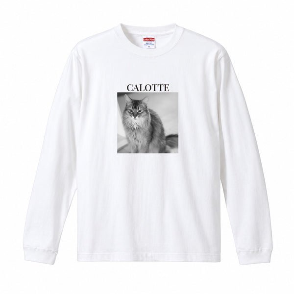 キャロット コットンロングTシャツ