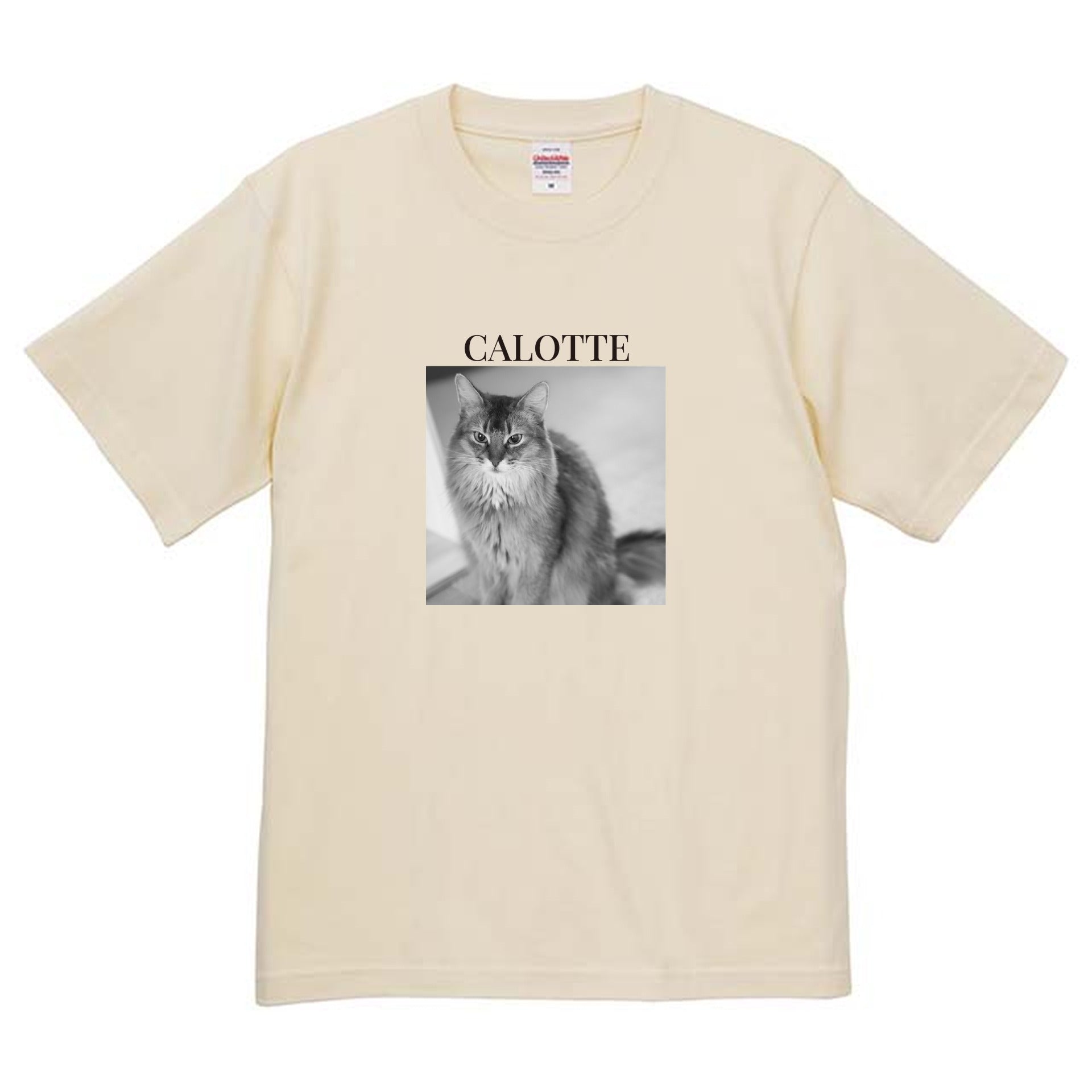 019