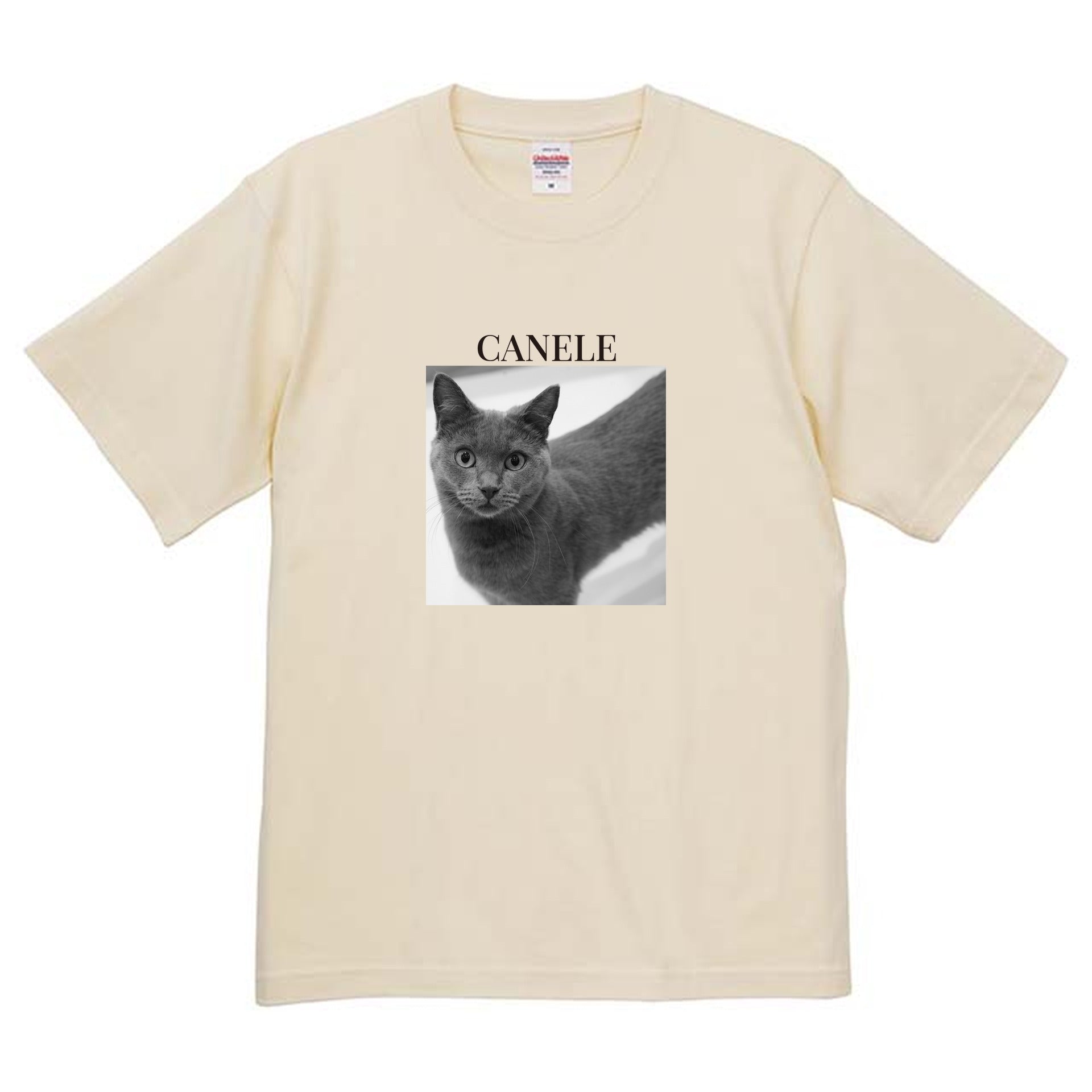 019