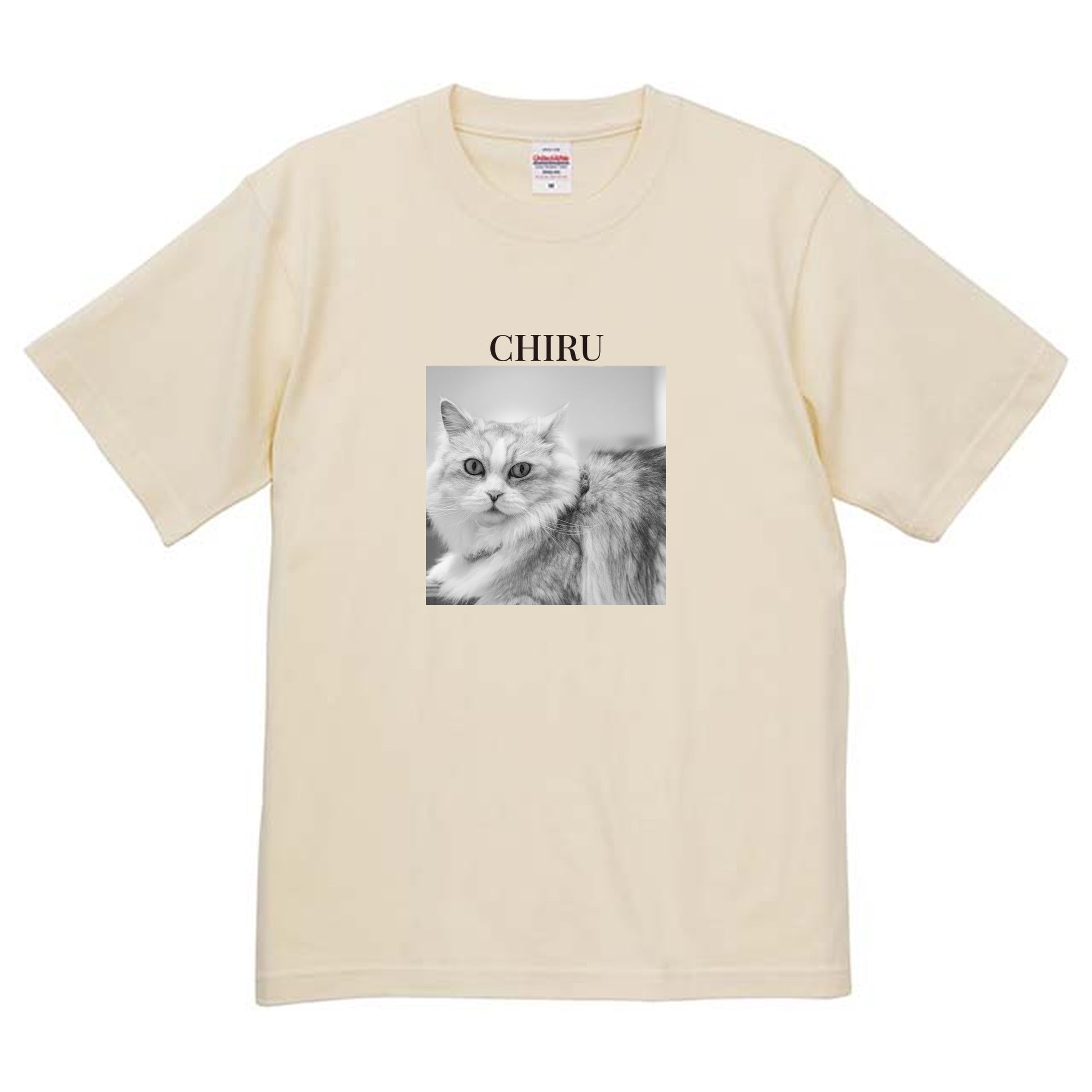019