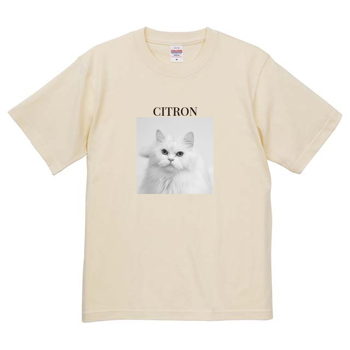 019