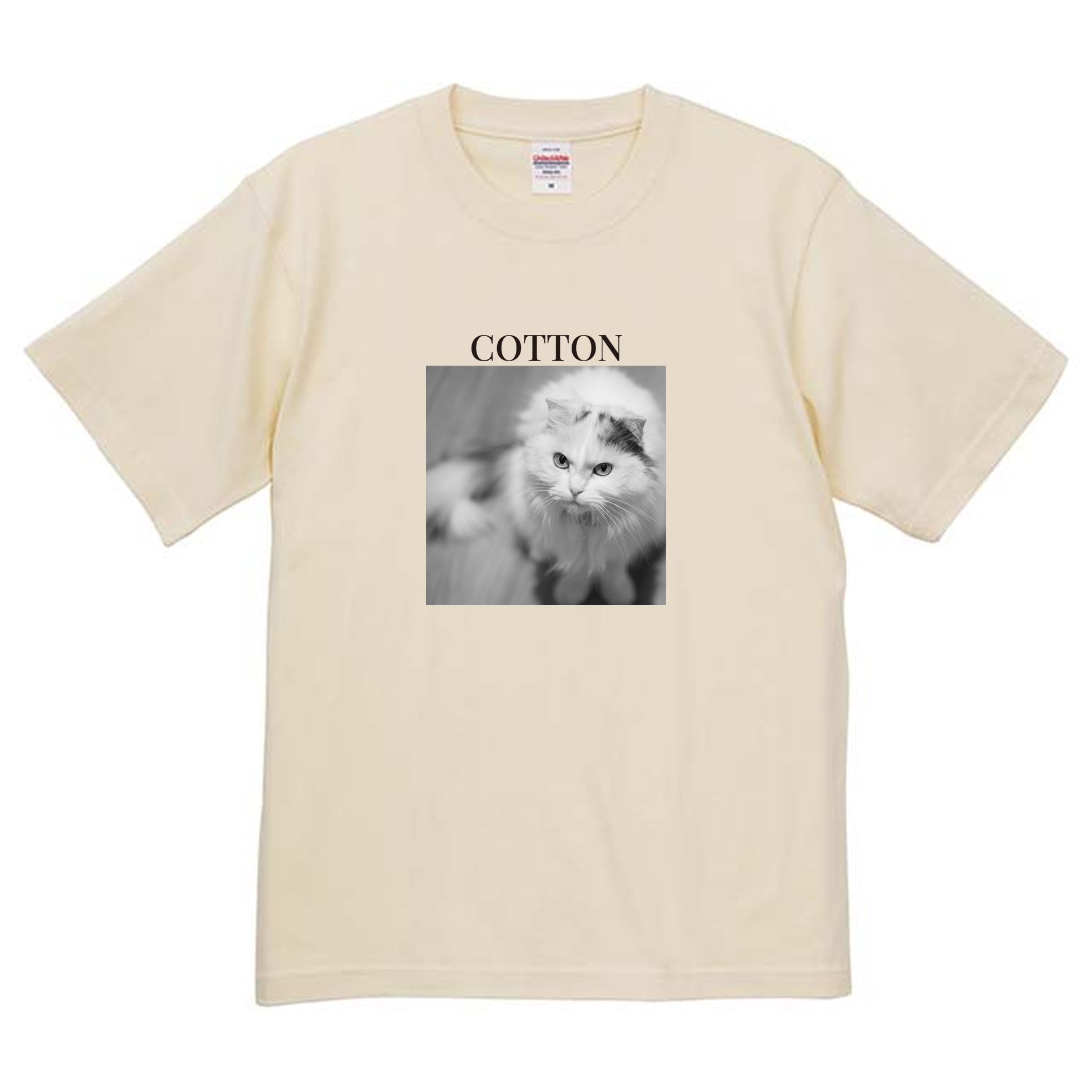 019