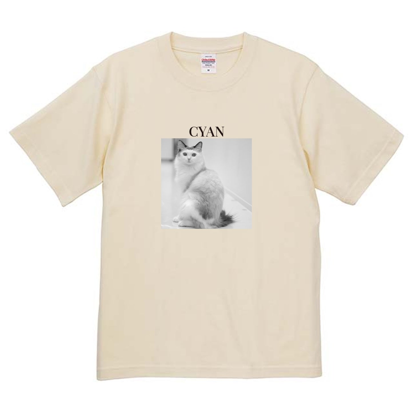 019