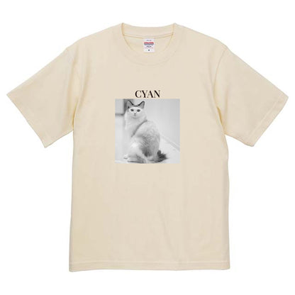 019