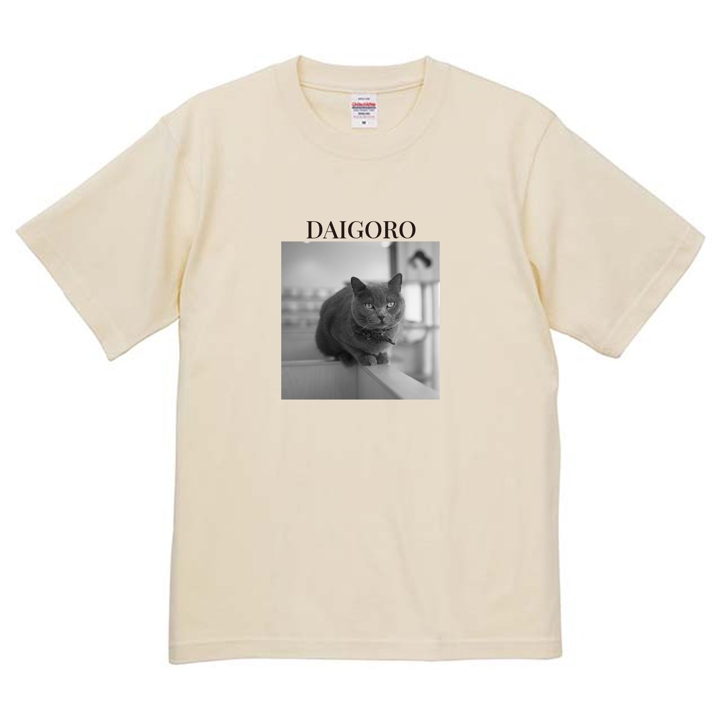 019