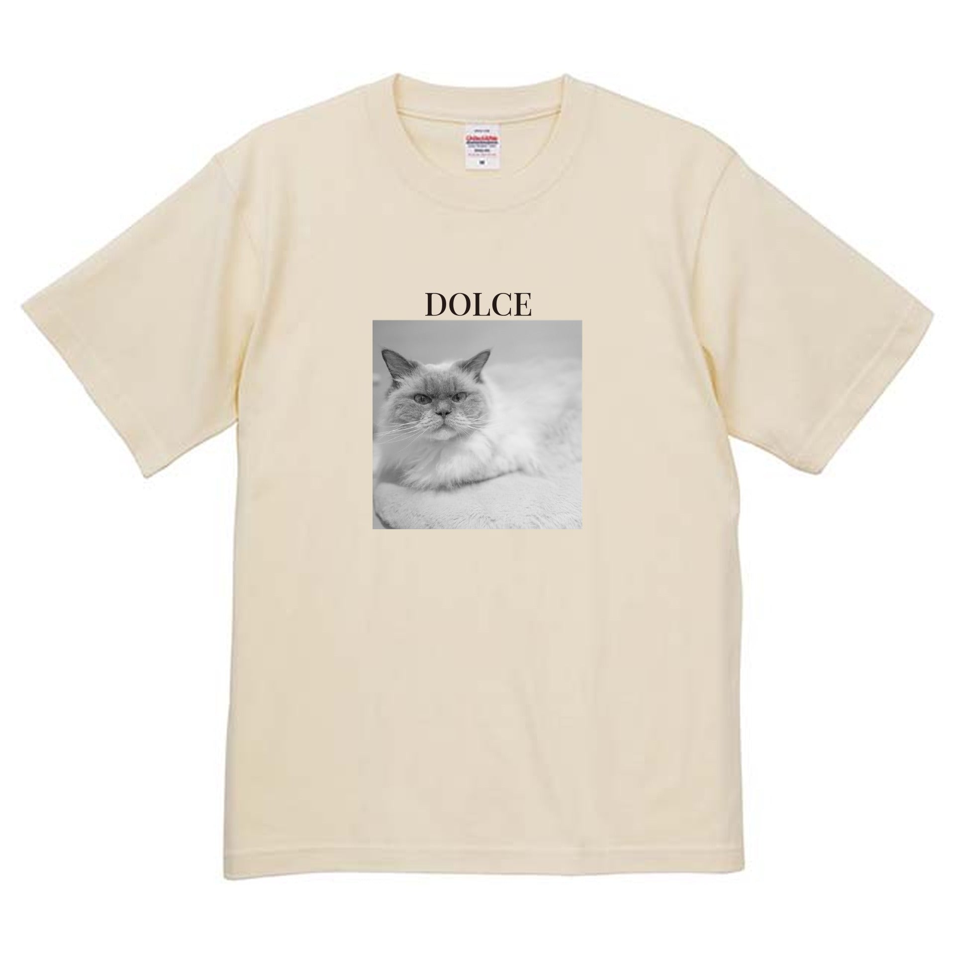 019