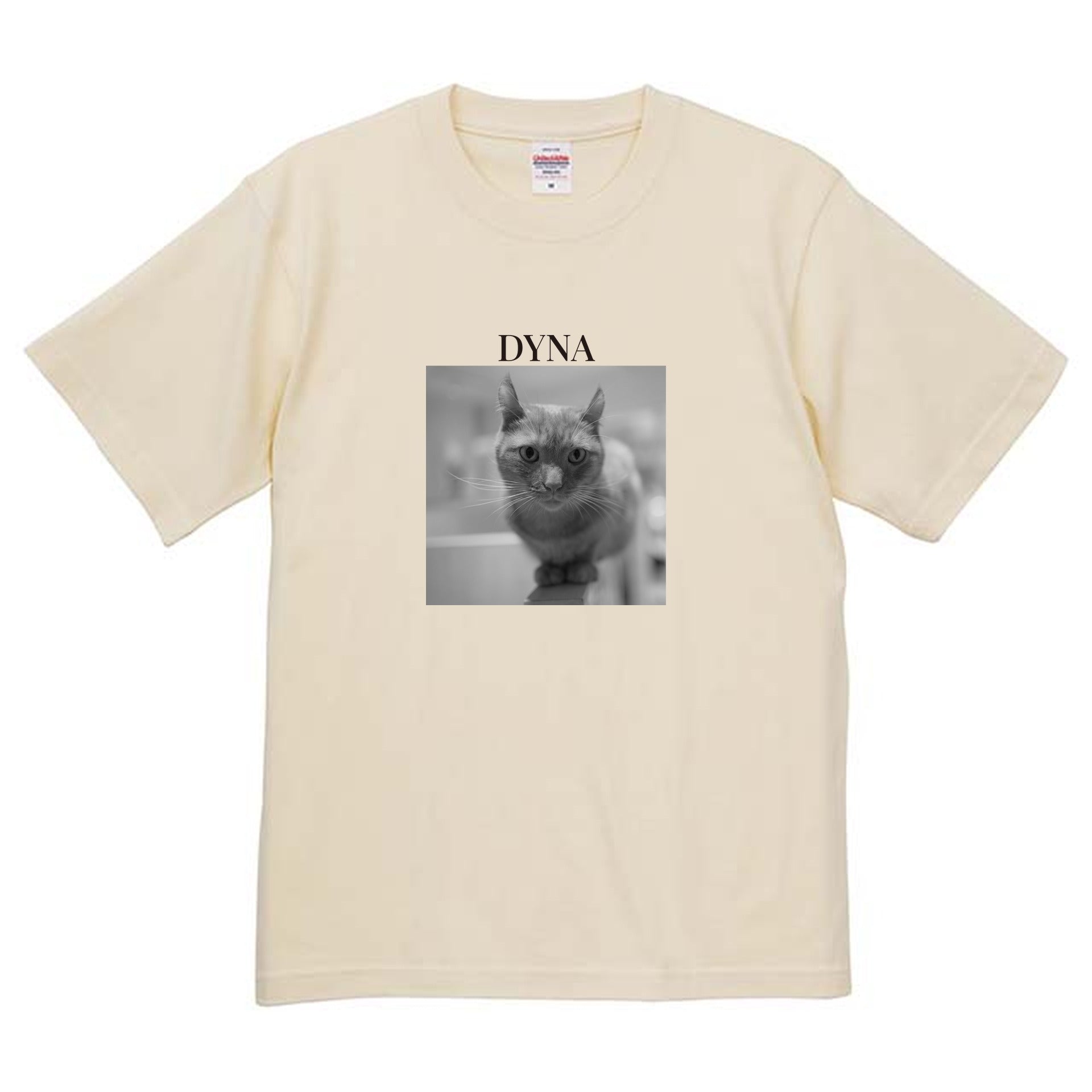 019