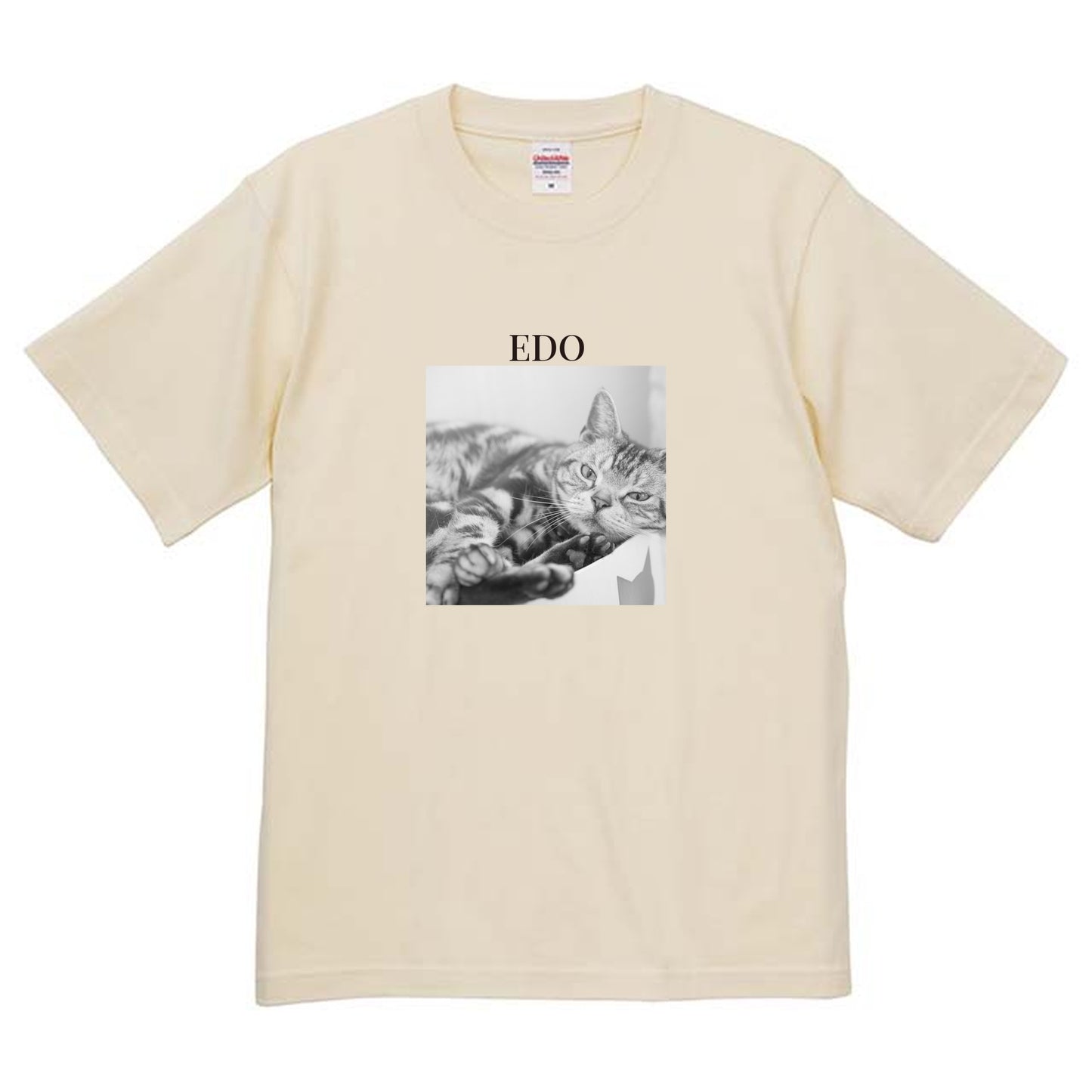 019