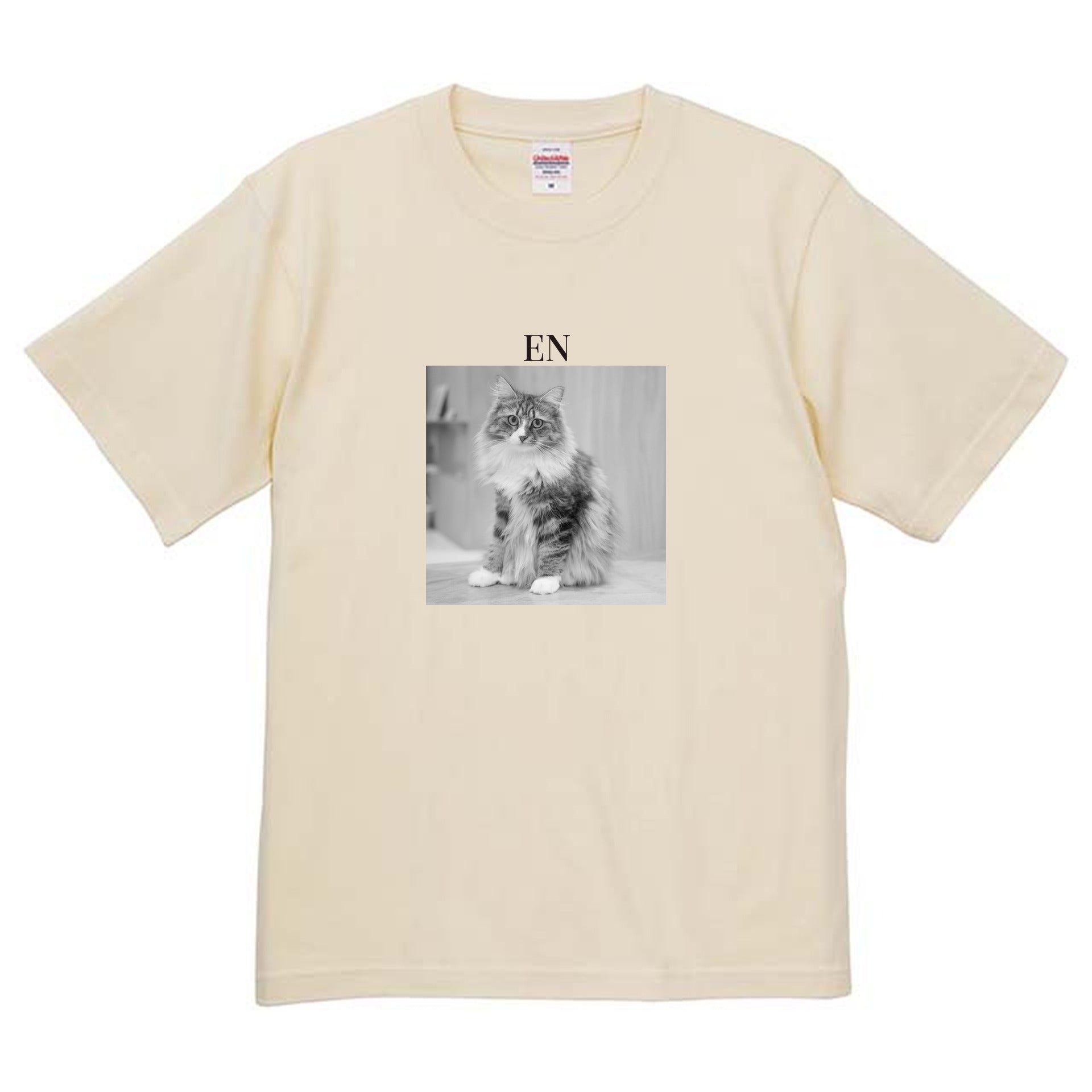 019