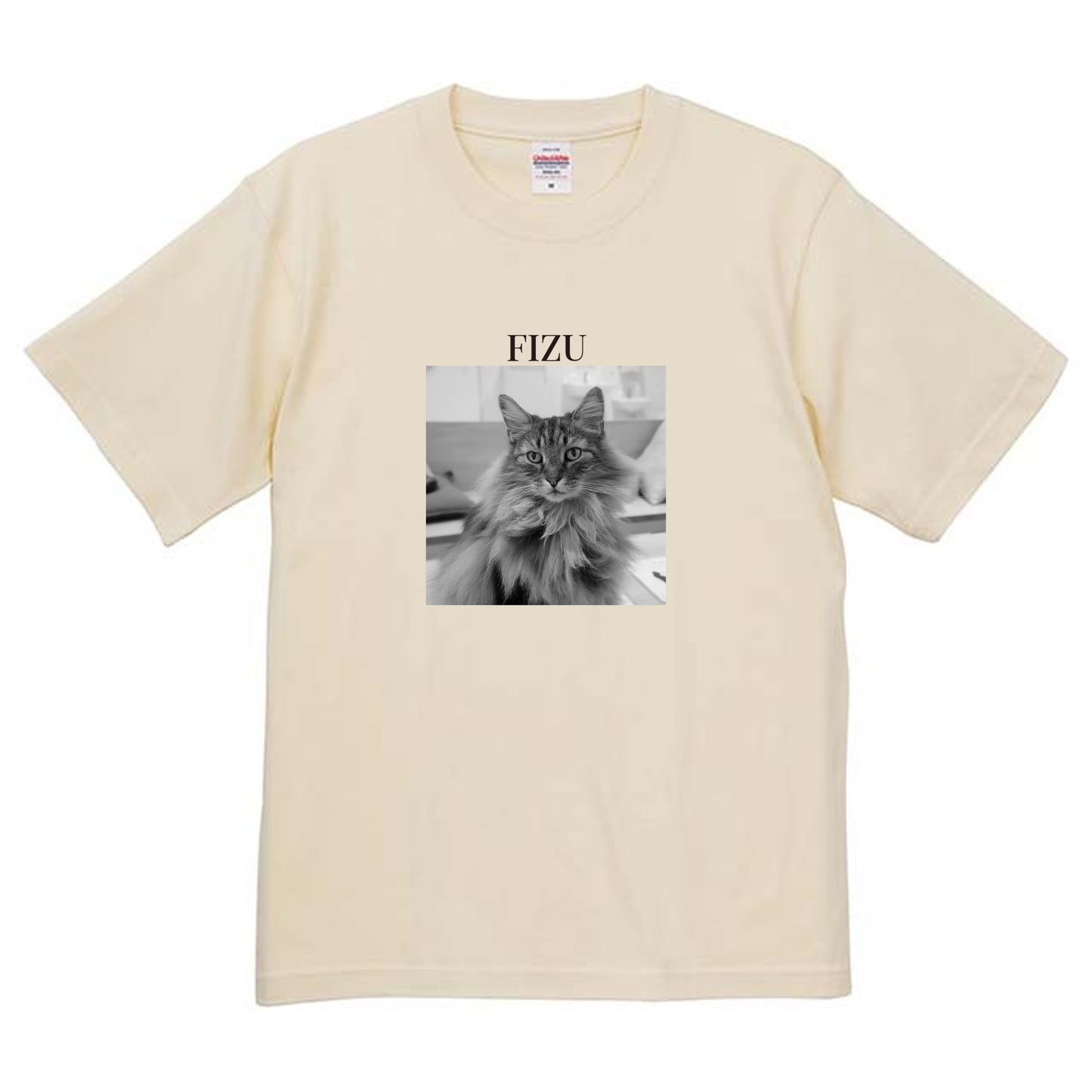 019