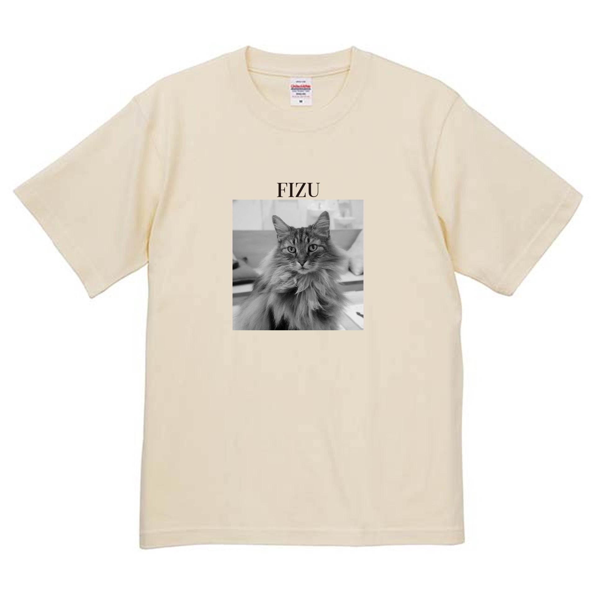 019