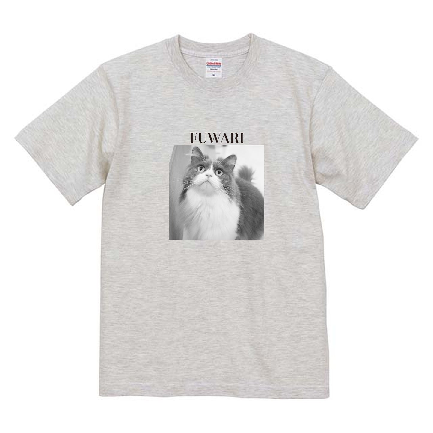 009