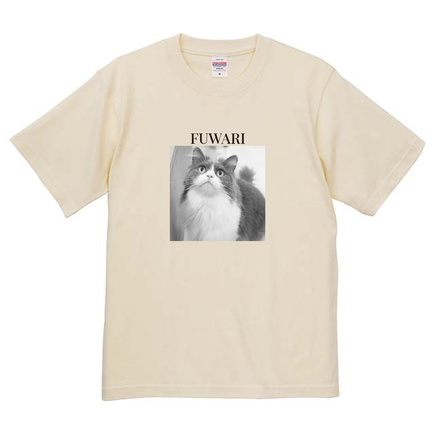 019