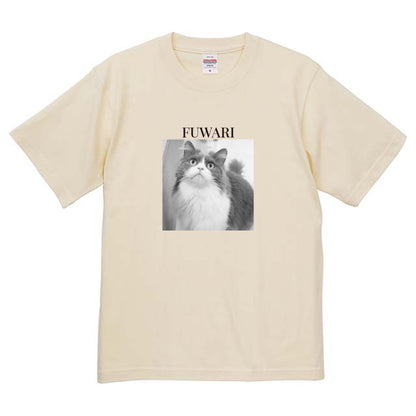 019