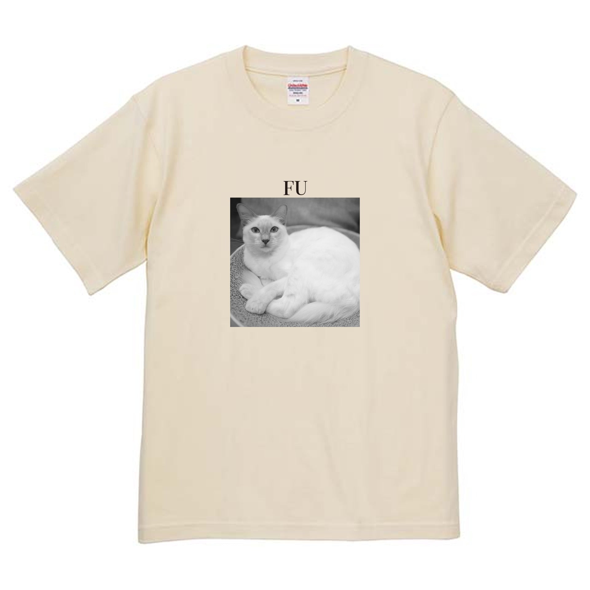 019