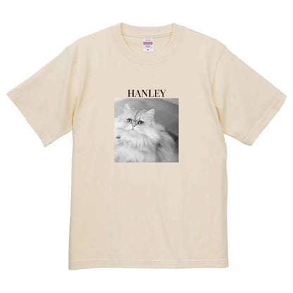 019