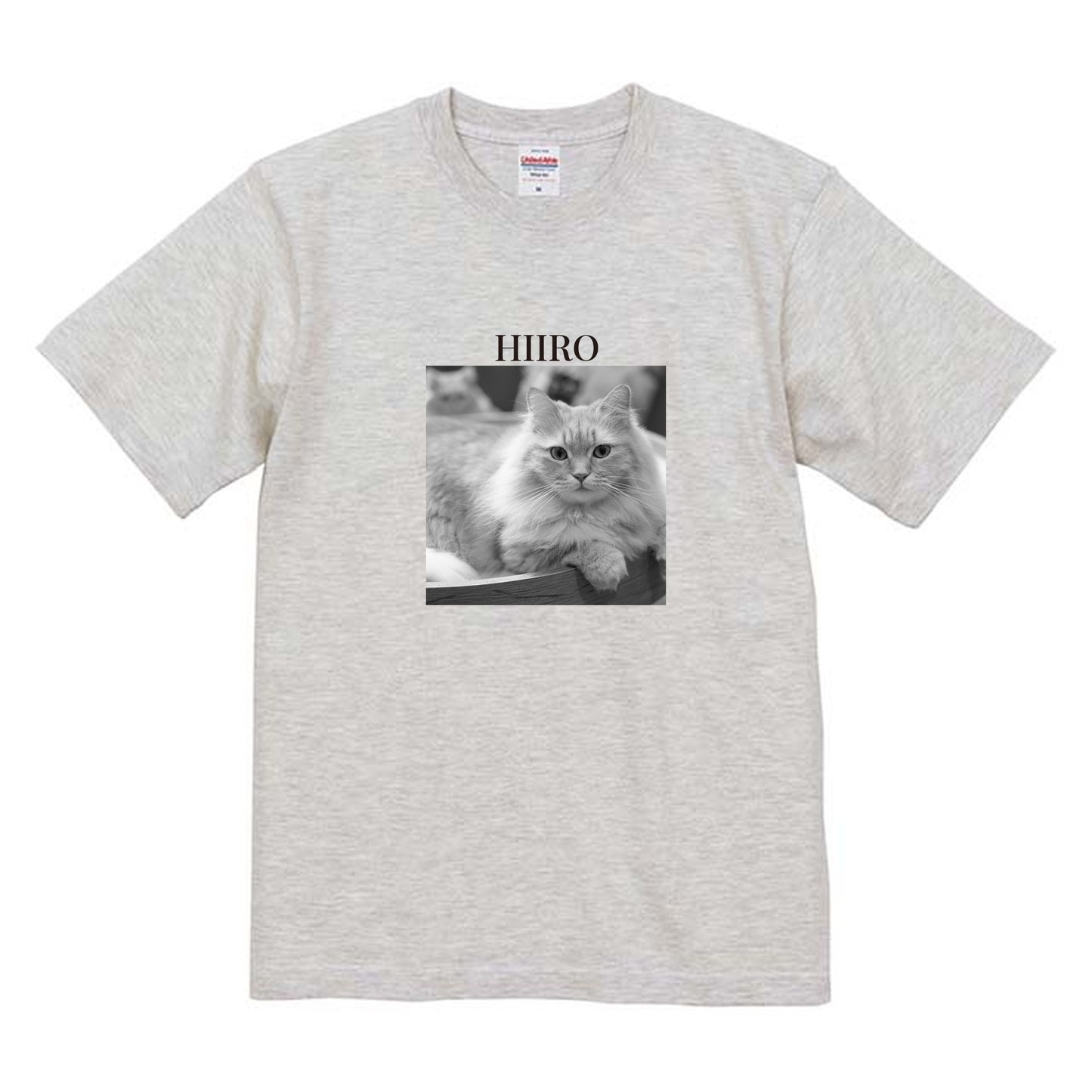 009