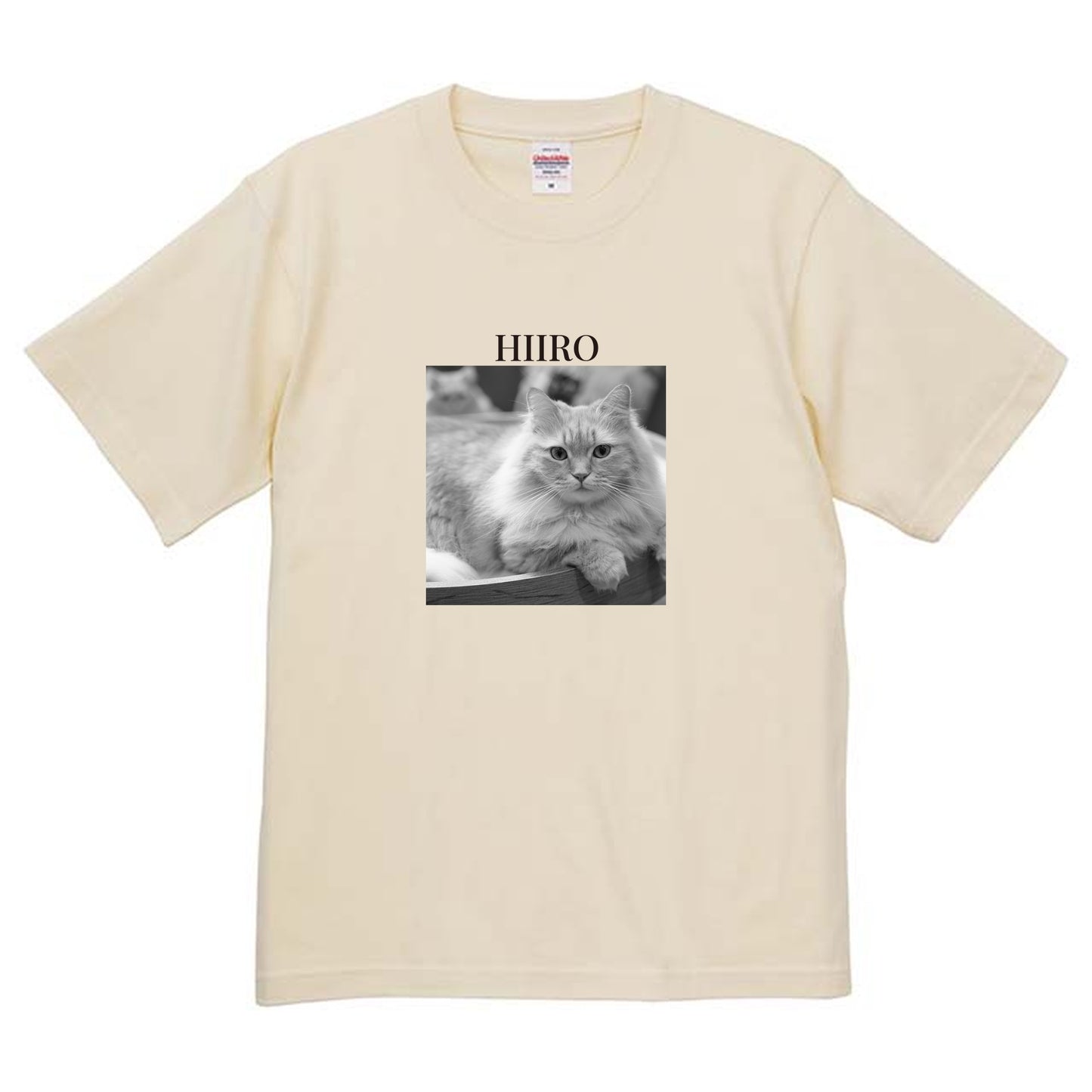 019