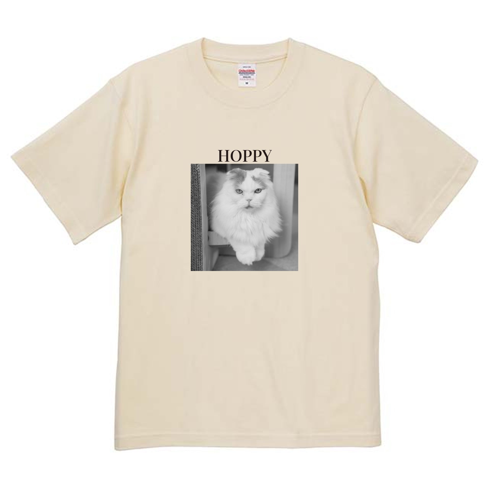 019