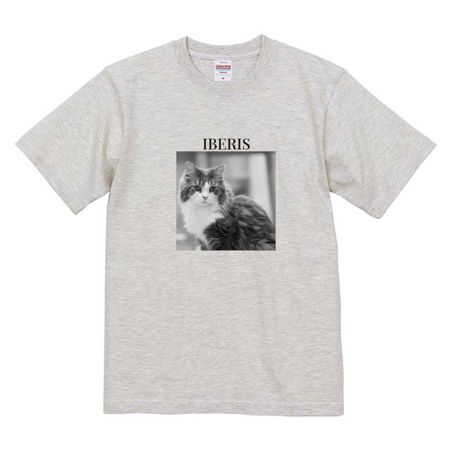 009