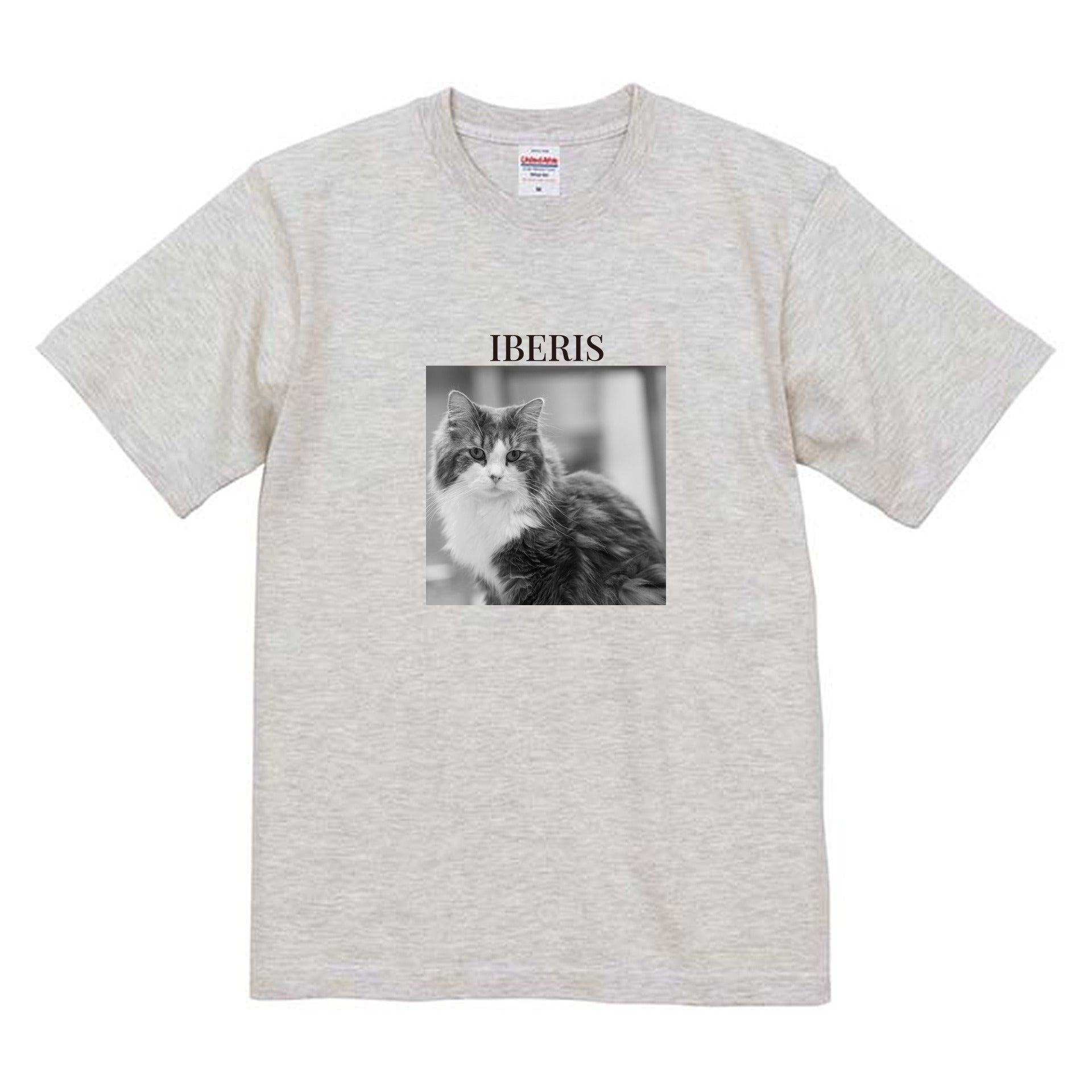 009