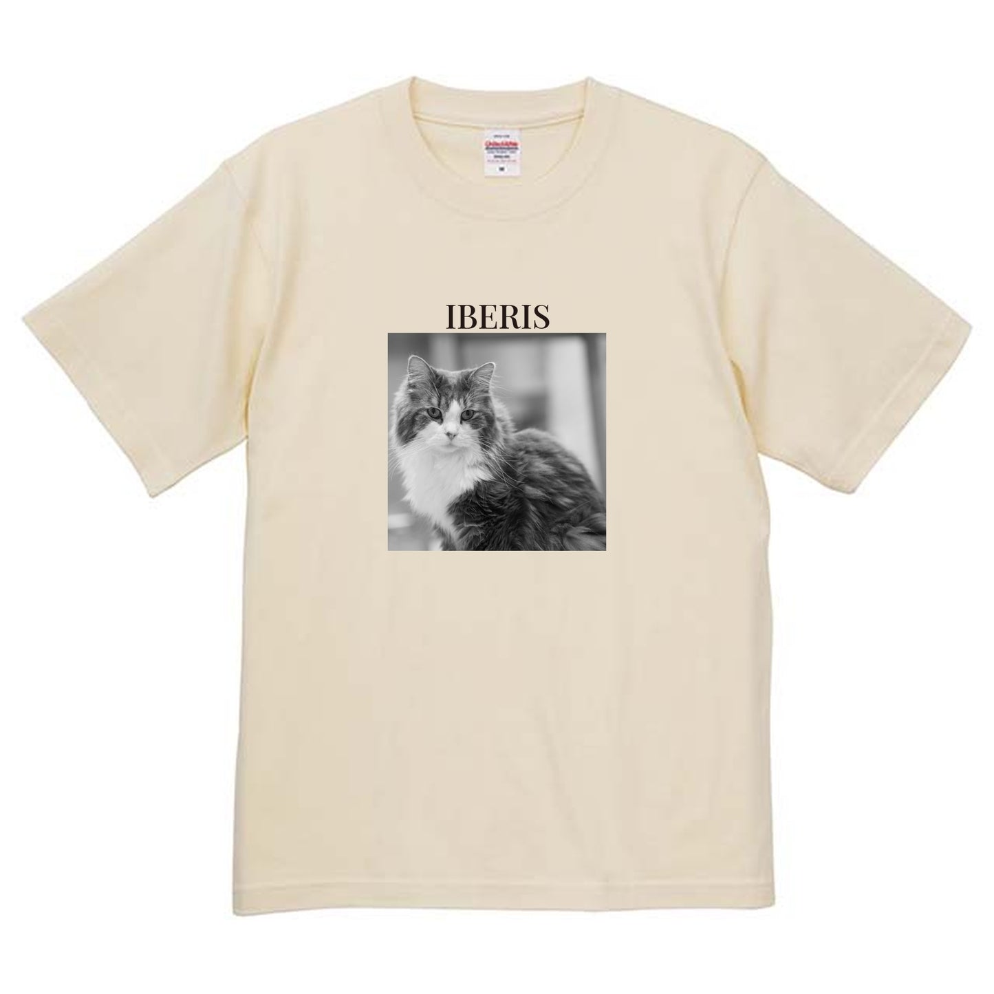 019