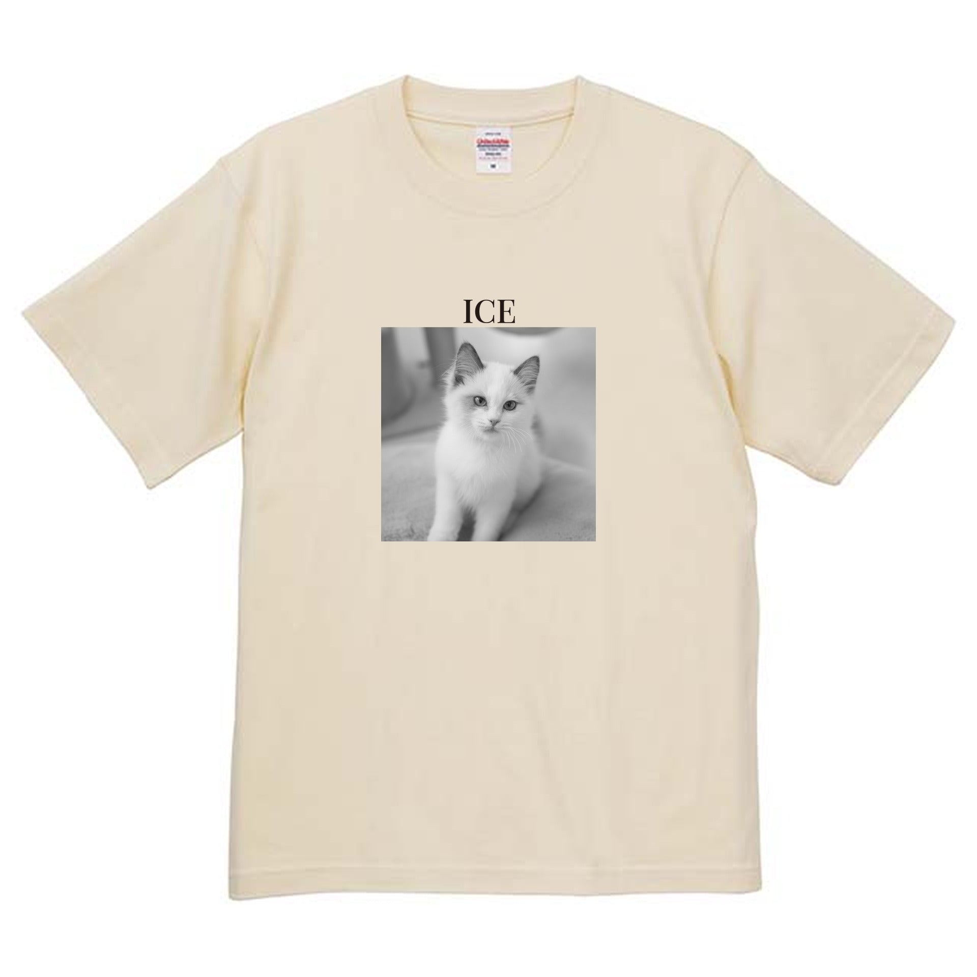 019