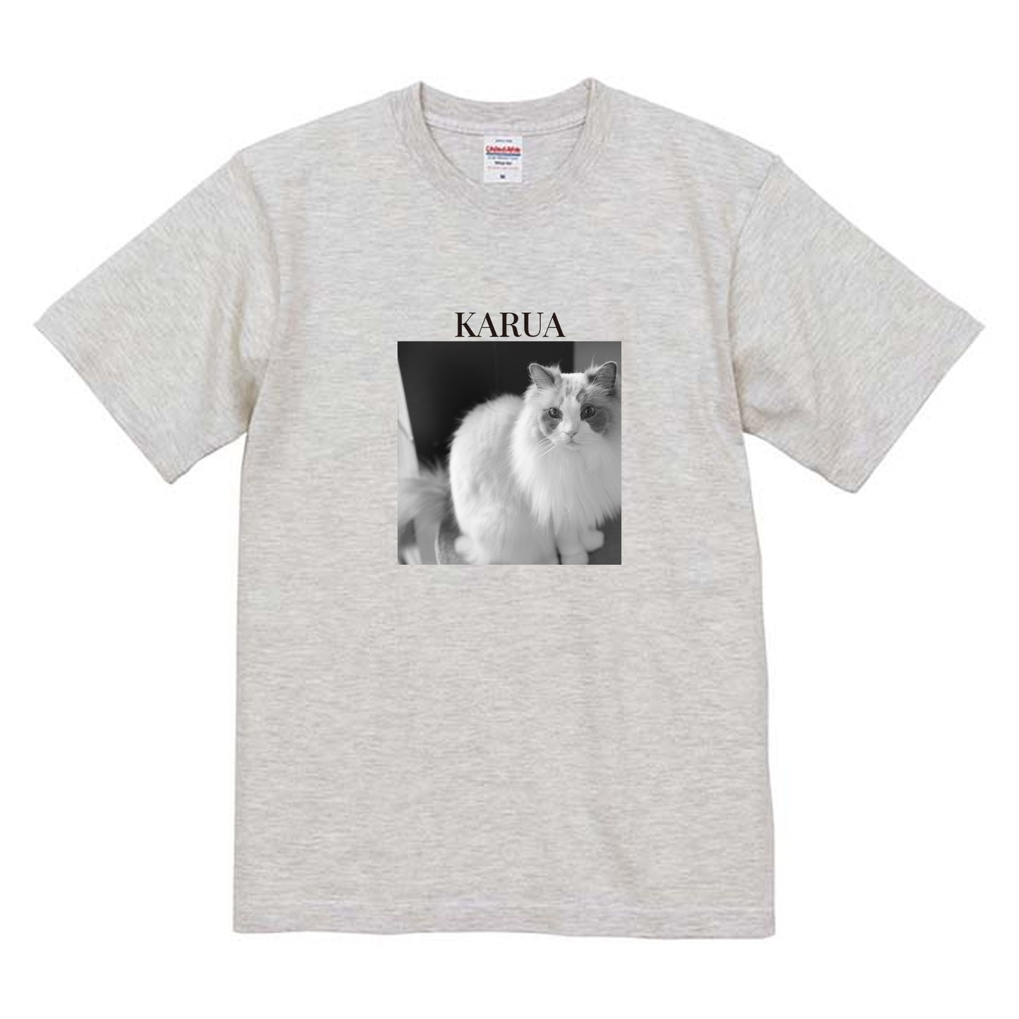 009