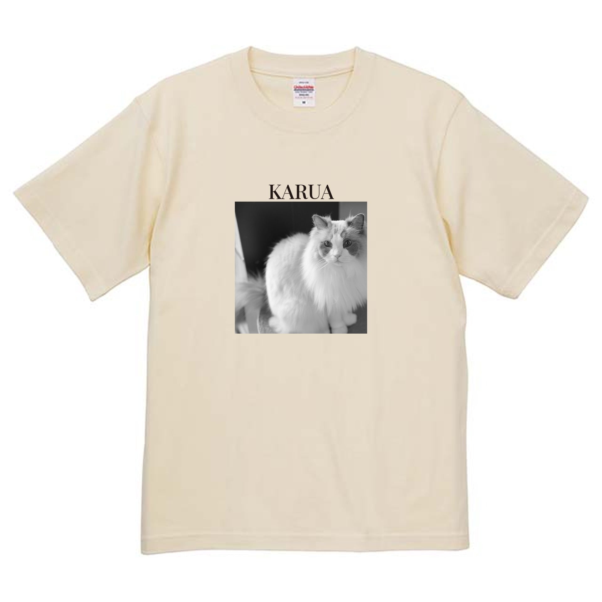 019