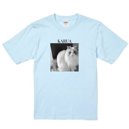 488