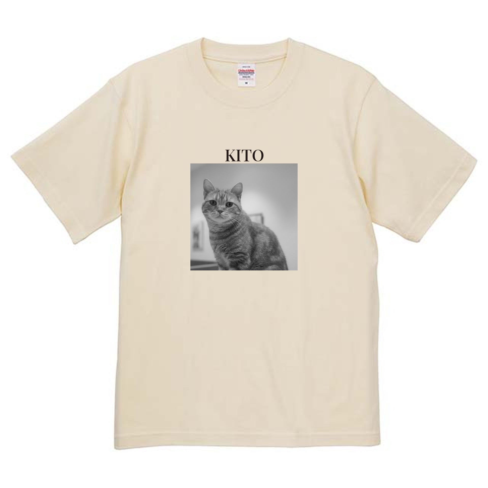 019