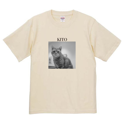 019