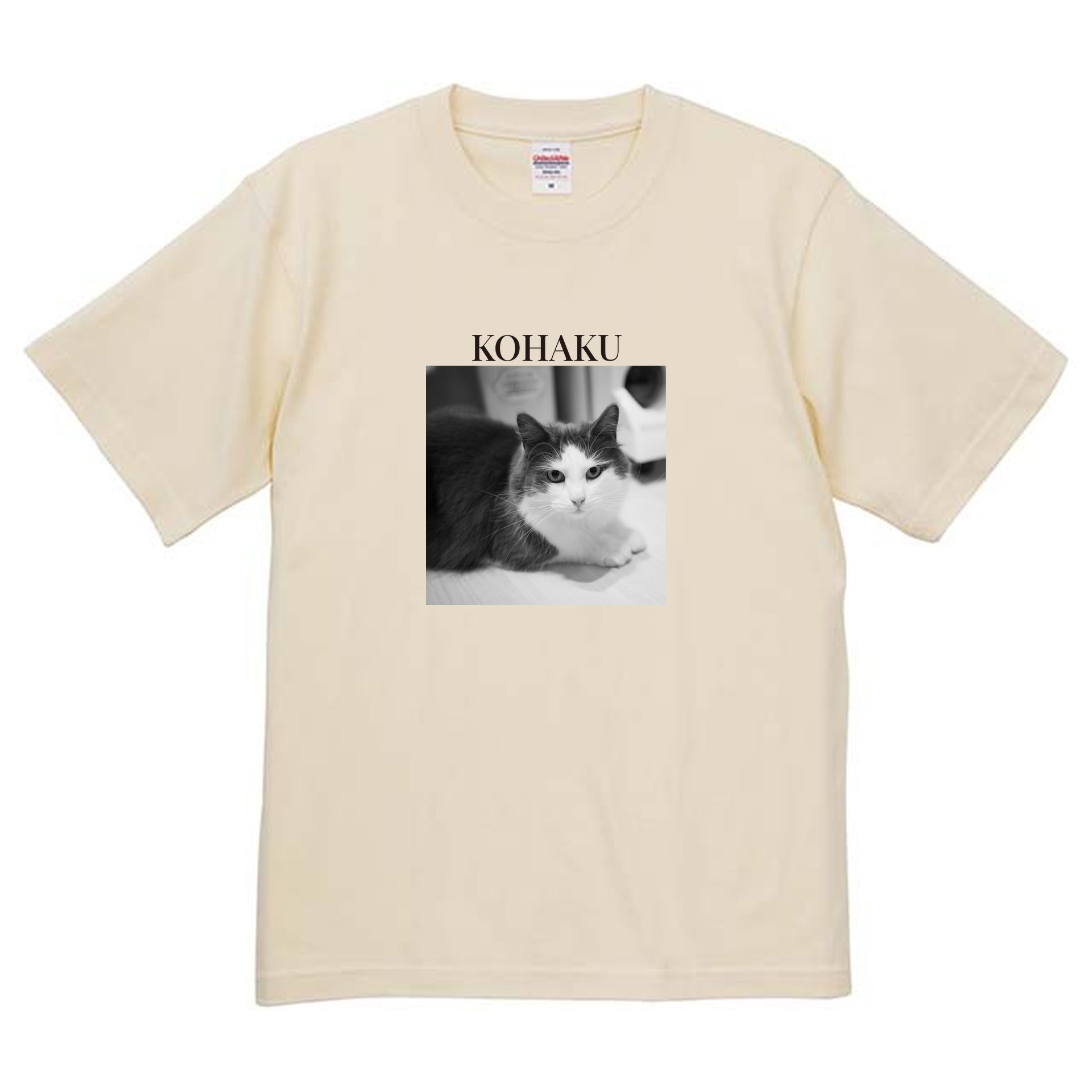 019