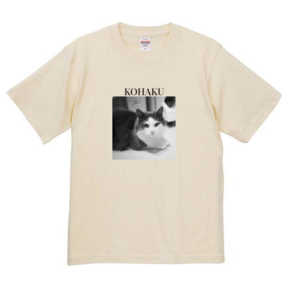 019