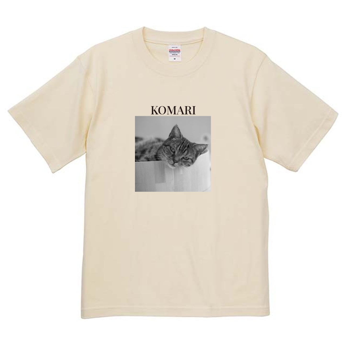 019