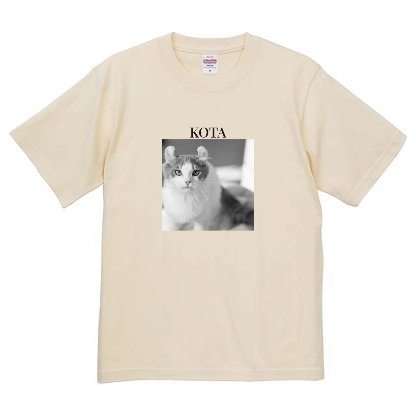 019