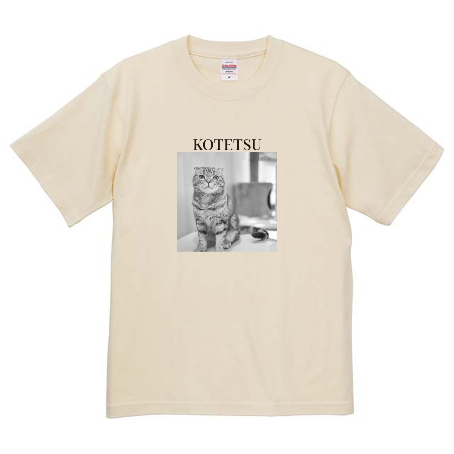 019