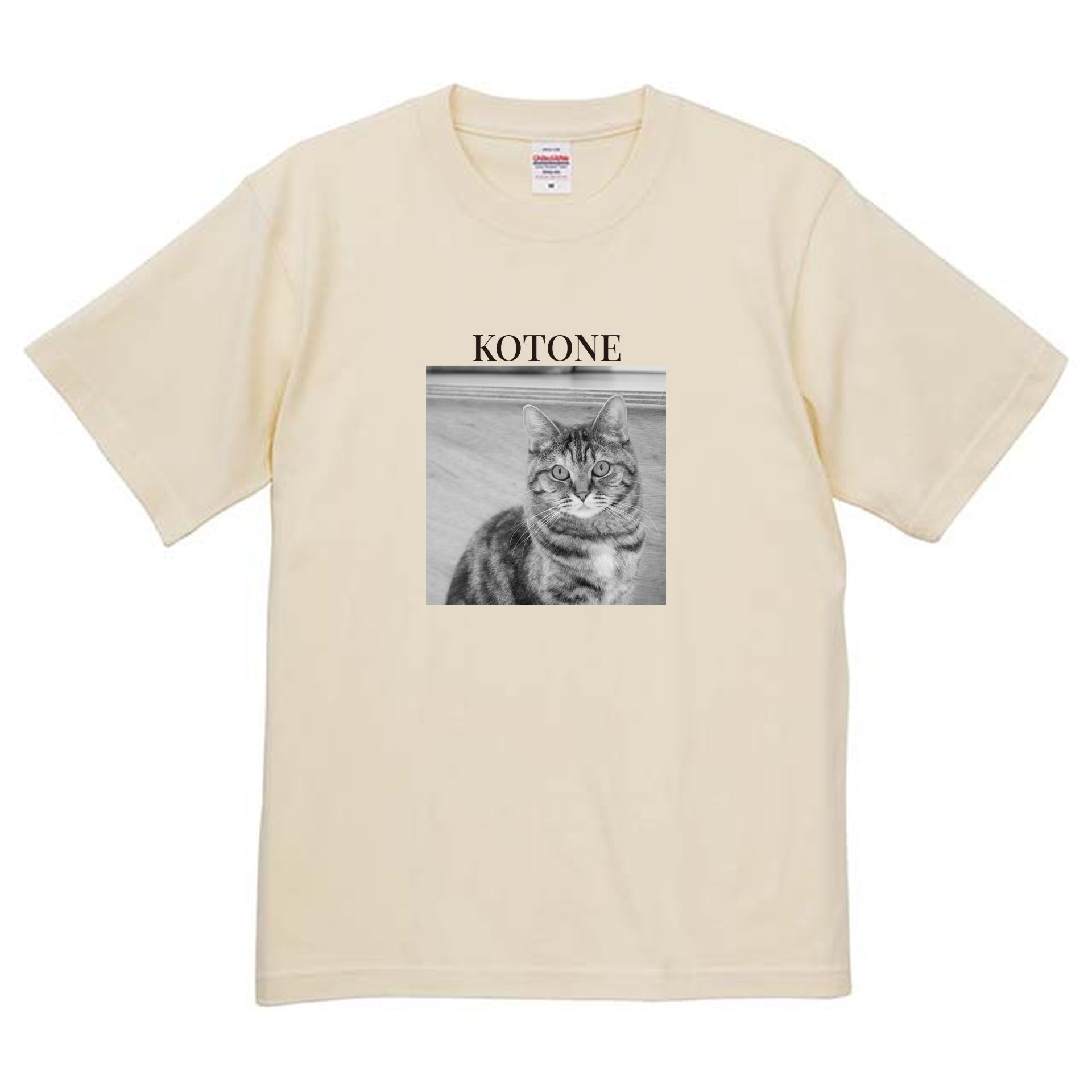 019