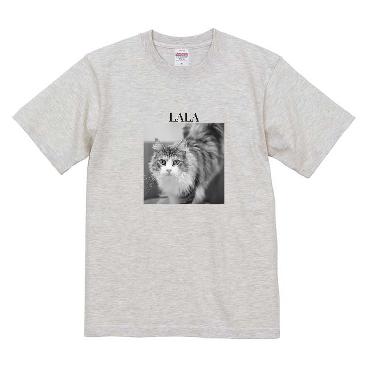 009