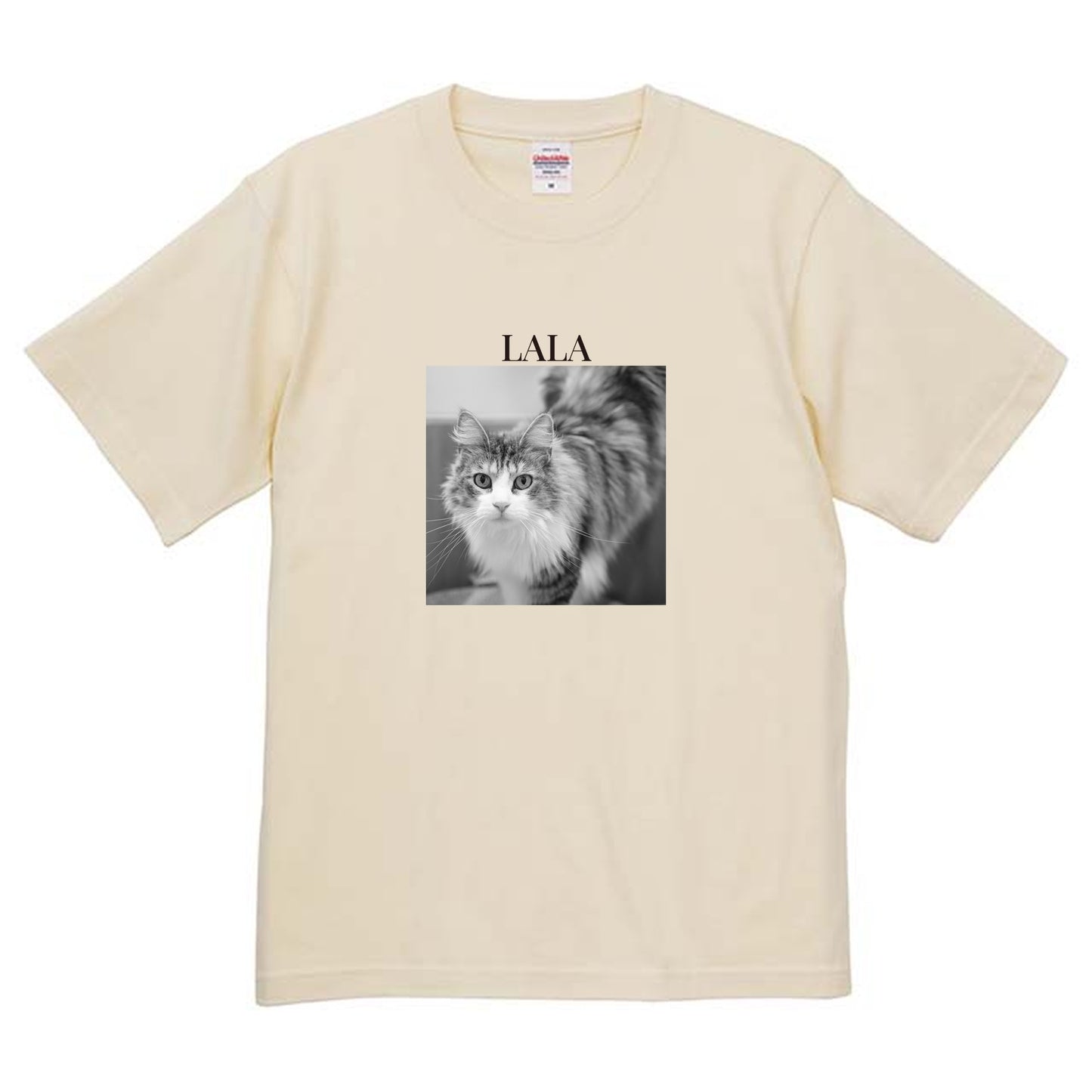 019
