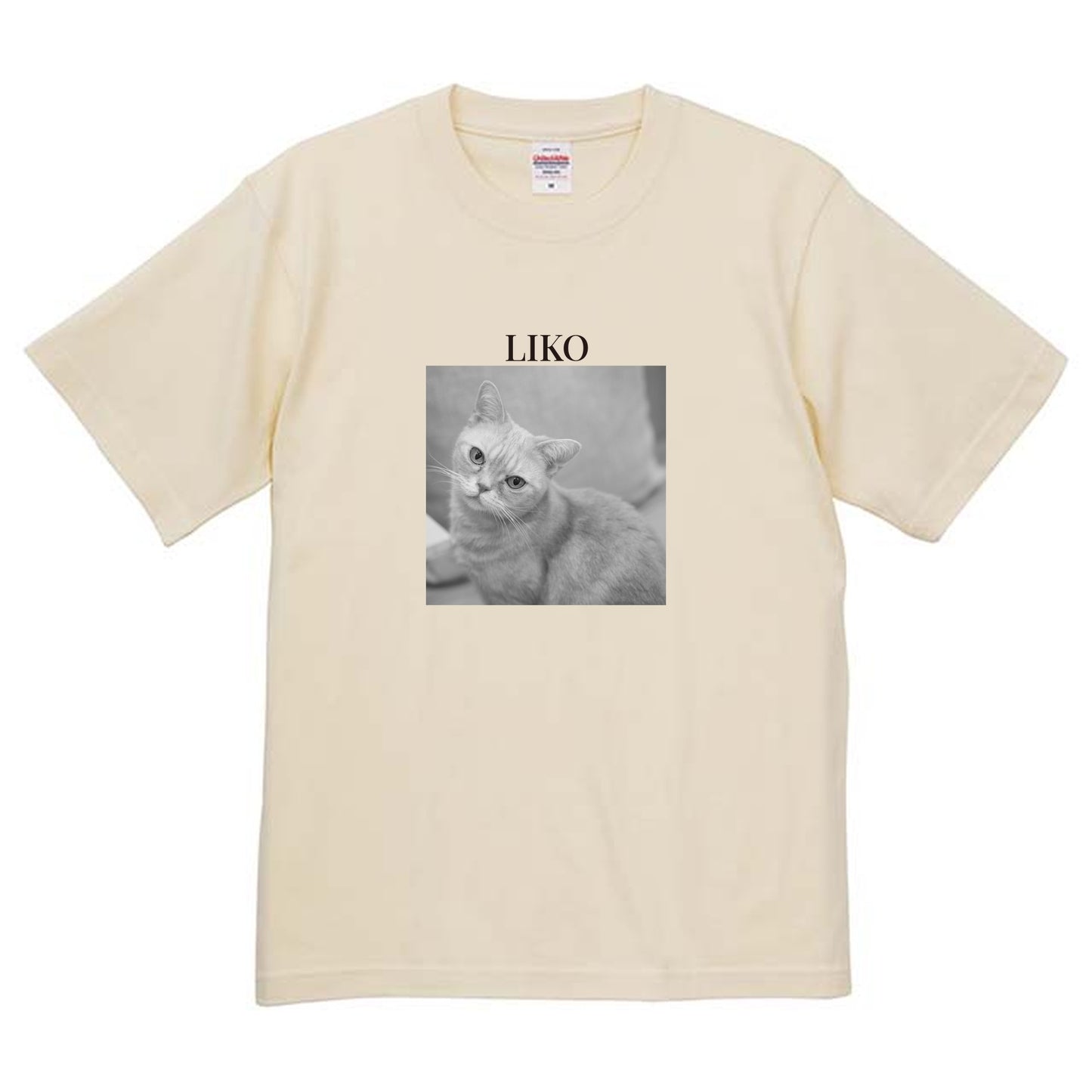 019