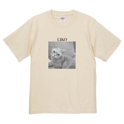 019
